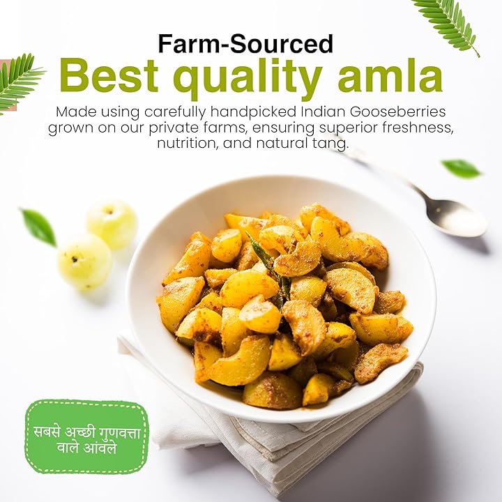 Haveli Anirudh™ Artisanal Amla (Gooseberry) Pickle 200 gms | Made with Cold Pressed Mustard Oil | Home crafted with Less Oil, No Preservatives, No Artificial Flavours| Traditional Indian Taste in glass jar