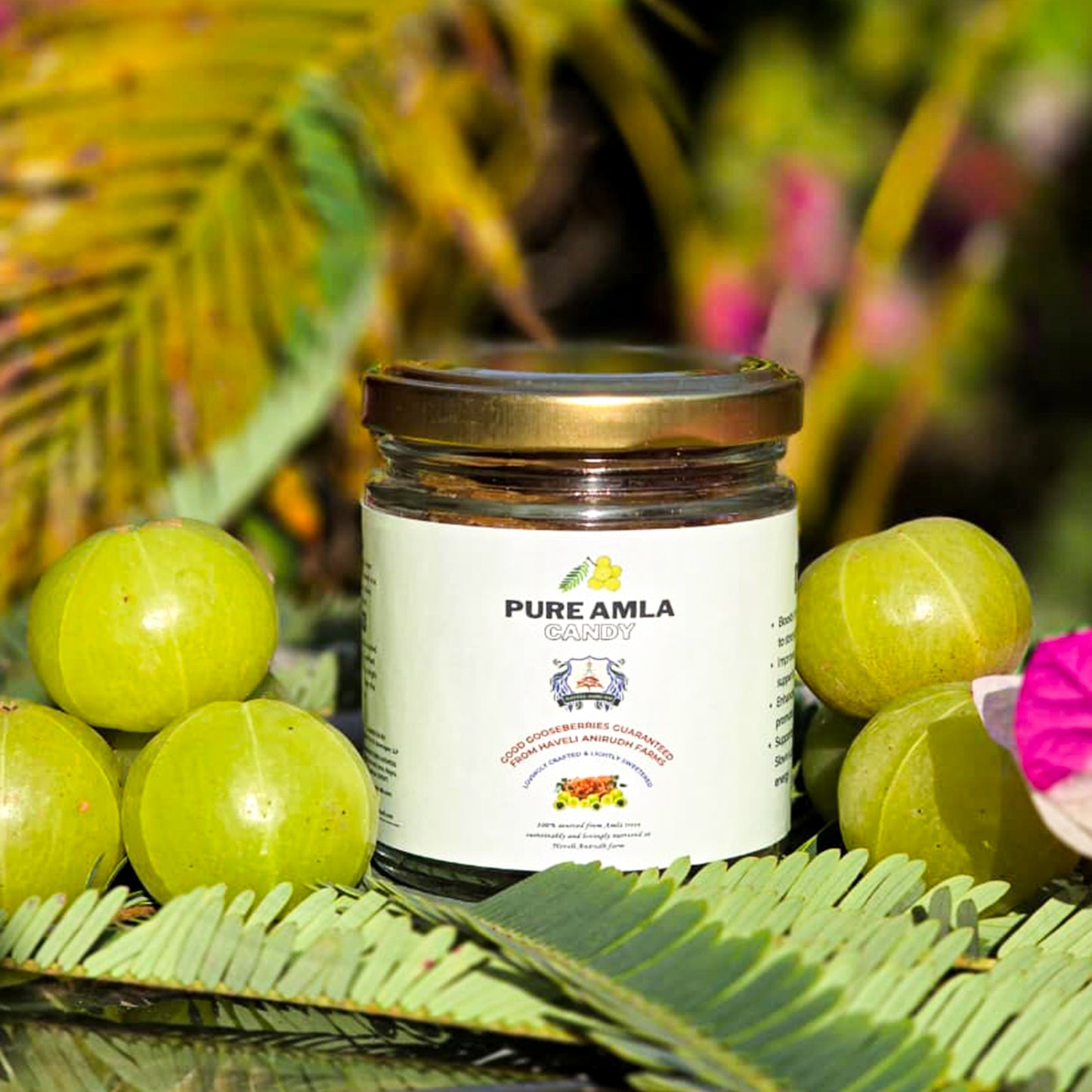 Haveli Anirudh Amla Gur Candy | Farm-Grown Awla & Jaggery | No Preservatives | No Refined Sugar | Rich in Vitamin C | Glass Jar
