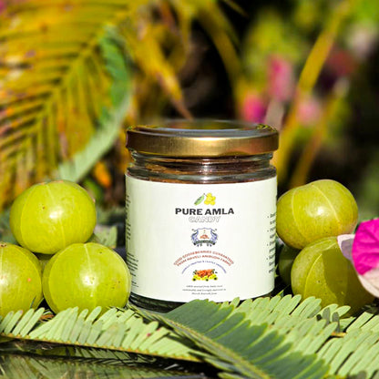 Haveli Anirudh Amla Gur Candy | Farm-Grown Awla & Jaggery | No Preservatives | No Refined Sugar | Rich in Vitamin C | Glass Jar