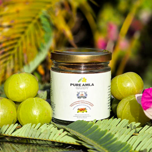 Haveli Anirudh Amla Gur Candy | Farm-Grown Awla & Jaggery | No Preservatives | No Refined Sugar | Rich in Vitamin C | Glass Jar