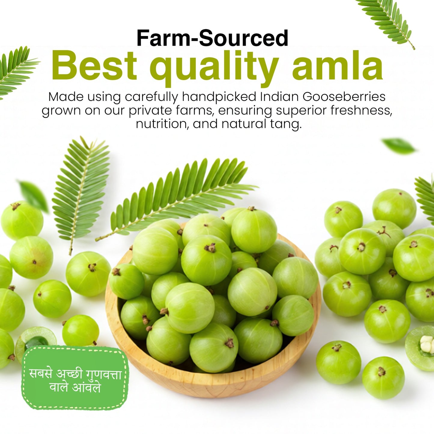 Haveli Anirudh Amla Gur Murabba | Whole Farm-Grown Awla in Jaggery Syrup | Traditional Ayurvedic Rasayana | No Preservatives | No Refined Sugar | Glass Jar