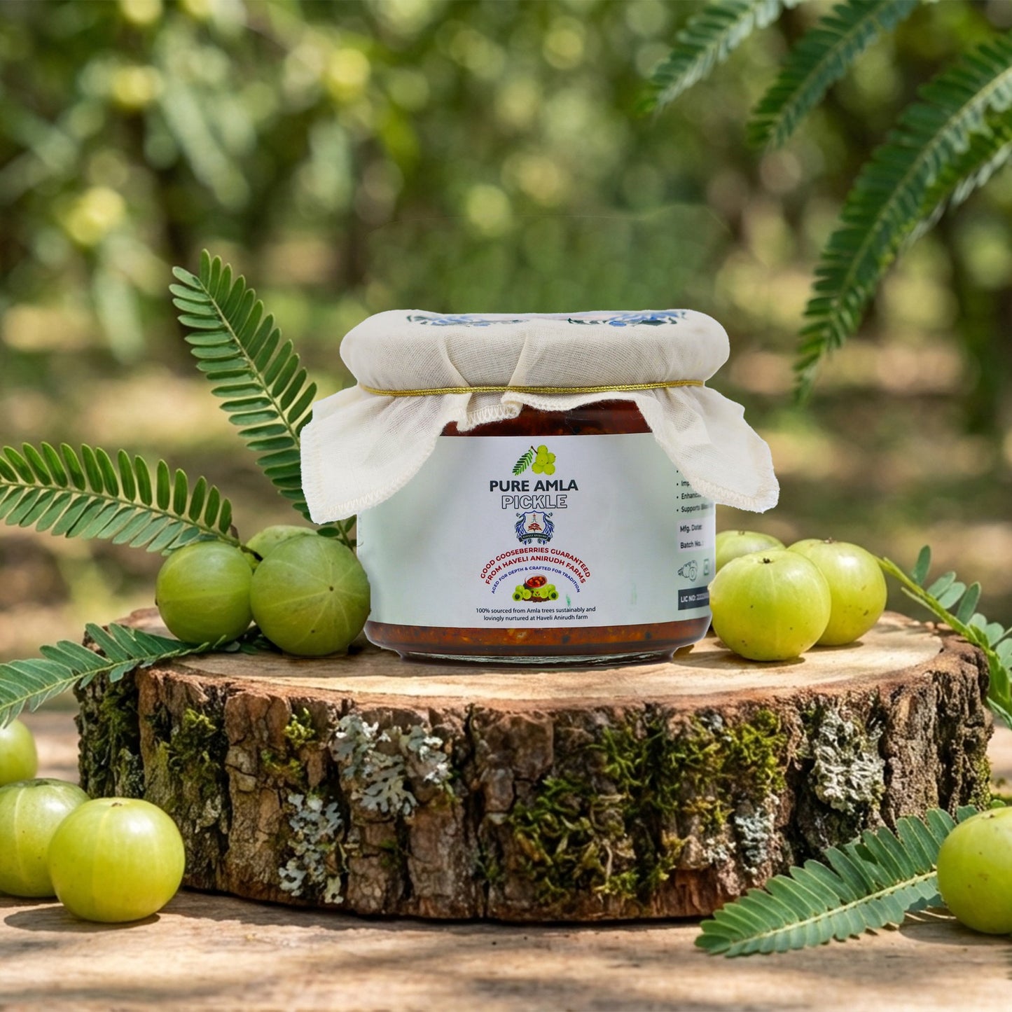 Haveli Anirudh Amla Pickle | Farm-Grown Awla in Cold-Pressed Mustard Oil | Traditional Rajasthani Achar | No Preservatives | Homemade Style | Glass Jar