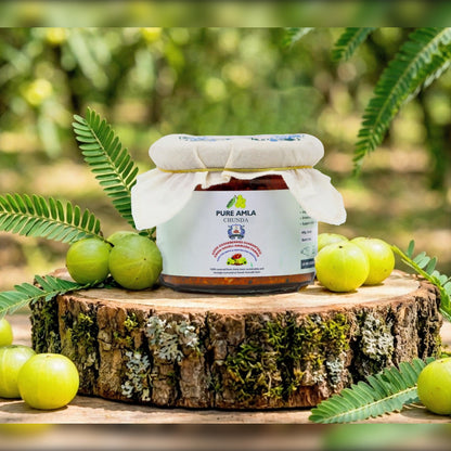 Haveli Anirudh Amla Gur Chunda | Farm-Grown Awla, Jaggery & Desi Ghee | Traditional Rajasthani Preserve | No Preservatives | No Refined Sugar | Glass Jar